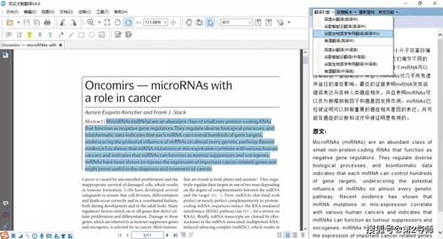 方案设计英文设计图怎么写的啊视频教学,方案设计英文翻译