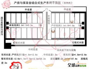 养猪隔墙设计方案[养猪隔墙设计方案图]