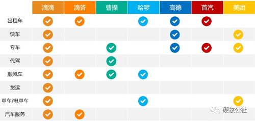 鸡棚的设计方案[鸡棚设计大全图农村]